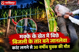 मक्के के खेत में बिछे बिजली के तार बने जानलेवा, करंट लगने से 30 वर्षीय युवक की मौत; पुलिस जांच में जुटी