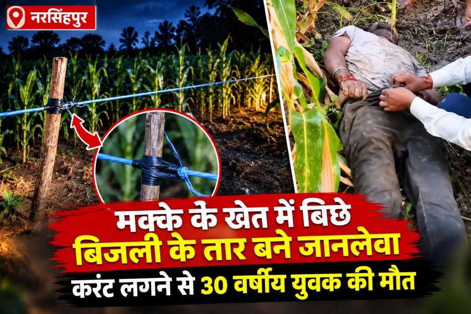 मक्के के खेत में बिछे बिजली के तार बने जानलेवा, करंट लगने से 30 वर्षीय युवक की मौत; पुलिस जांच में जुटी