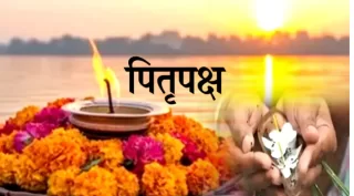 पितृ पक्ष में घर के आसपास दिखें ये 5 जीव तो क्या है मान्यता? गाय-कौवे से लेकर चींटियों तक जानें धार्मिक महत्व