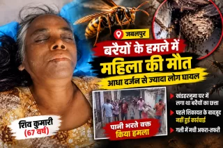 शीतलामाई में बरैयों के झुंड का हमला, 67 वर्षीय महिला की मौत; आधा दर्जन से ज्यादा लोग घायल