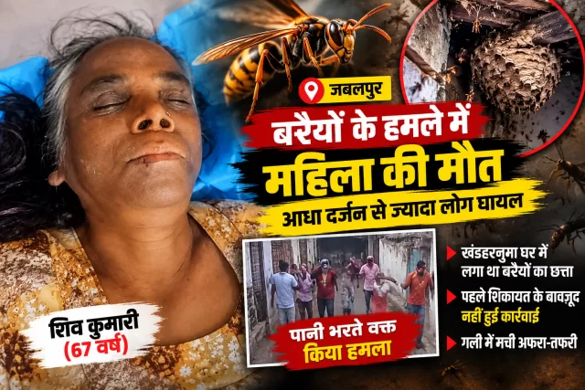 शीतलामाई में बरैयों के झुंड का हमला, 67 वर्षीय महिला की मौत; आधा दर्जन से ज्यादा लोग घायल
