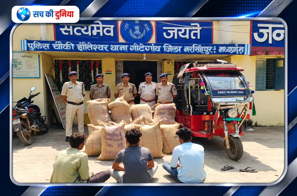 नरसिंहपुर में वेयरहाउस चोरी का 48 घंटे में खुलासा, चार आरोपी पकड़े; 10 बोरी मूंग और ऑटो समेत 2.93 लाख का माल बरामद