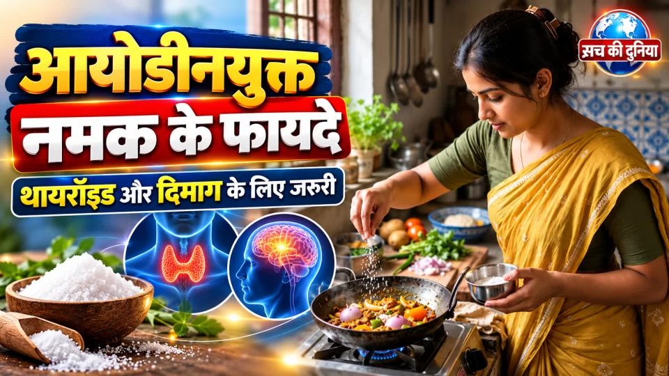 आयोडीनयुक्त नमक सिर्फ स्वाद ही नहीं, सेहत के लिए भी जरूरी; थायरॉइड से लेकर बच्चों के दिमागी विकास तक जानें इसके फायदे