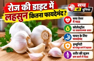 Garlic Benefits: रोज की डाइट में लहसुन कितना फायदेमंद? ब्लड प्रेशर और कोलेस्ट्रॉल पर दिखा असर, लेकिन खाली पेट खाने का दावा कितना सही