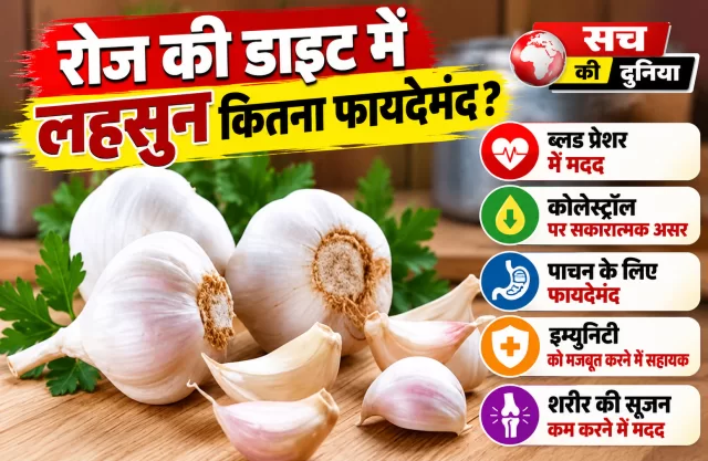 Garlic Benefits: रोज की डाइट में लहसुन कितना फायदेमंद? ब्लड प्रेशर और कोलेस्ट्रॉल पर दिखा असर, लेकिन खाली पेट खाने का दावा कितना सही