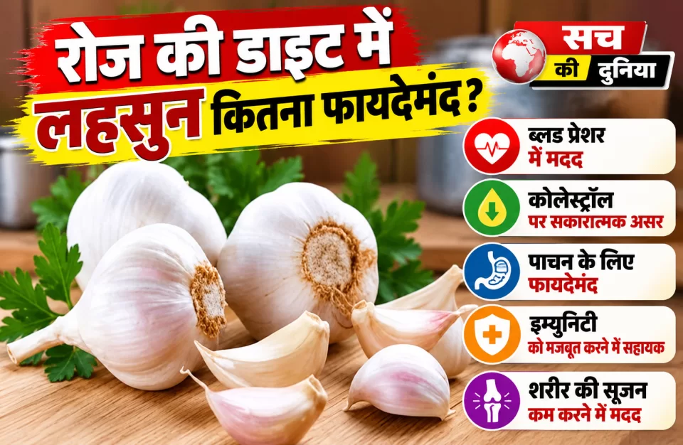Garlic Benefits: रोज की डाइट में लहसुन कितना फायदेमंद? ब्लड प्रेशर और कोलेस्ट्रॉल पर दिखा असर, लेकिन खाली पेट खाने का दावा कितना सही