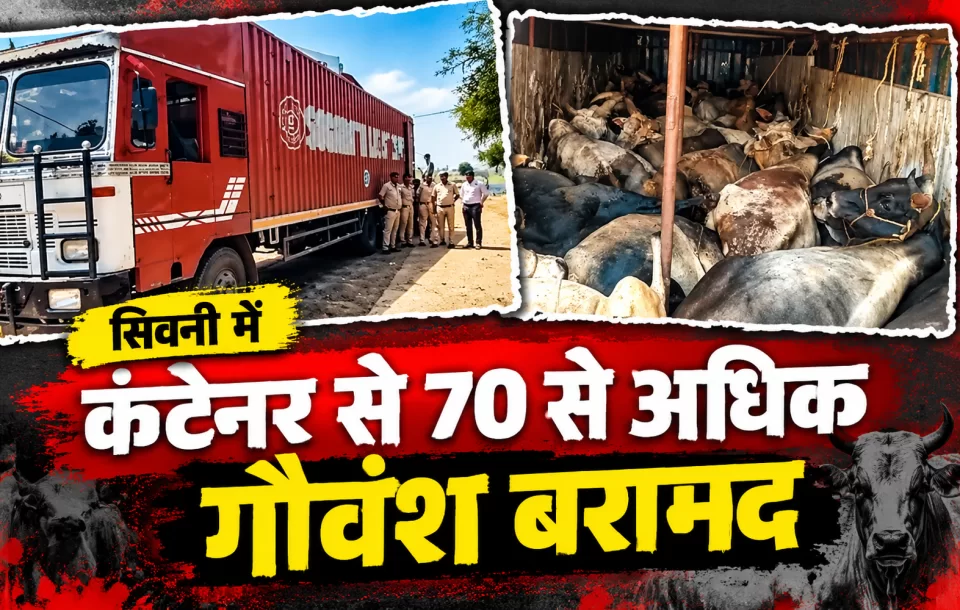 सिवनी में कंटेनर से 70 से अधिक गौवंश बरामद, छिंदवाड़ा ब्रिज पर पुलिस ने घेराबंदी कर चालक को पकड़ा