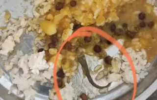 स्कूल के मध्याह्न भोजन में मिली मरी छिपकली, खाना खाने के बाद 12 बच्चों की तबीयत बिगड़ी; अस्पताल में हंगामा