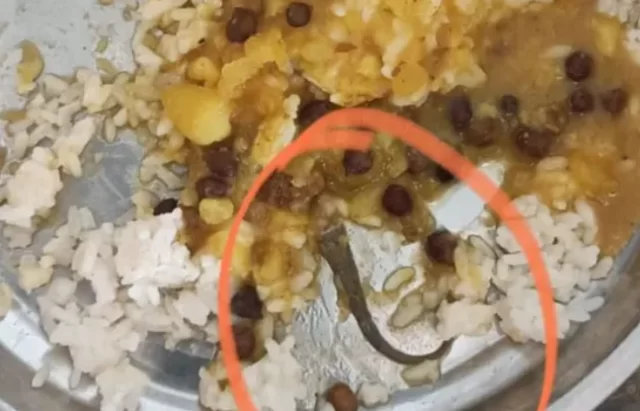 स्कूल के मध्याह्न भोजन में मिली मरी छिपकली, खाना खाने के बाद 12 बच्चों की तबीयत बिगड़ी; अस्पताल में हंगामा