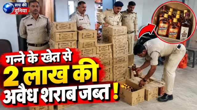 जबलपुर में गन्ने के खेत में छिपा रखी थी ₹2 लाख की अवैध शराब, क्राइम ब्रांच और केंट पुलिस का छापा; 1948 पाव जब्त, रोहित पासी उर्फ मटका गिरफ्तार