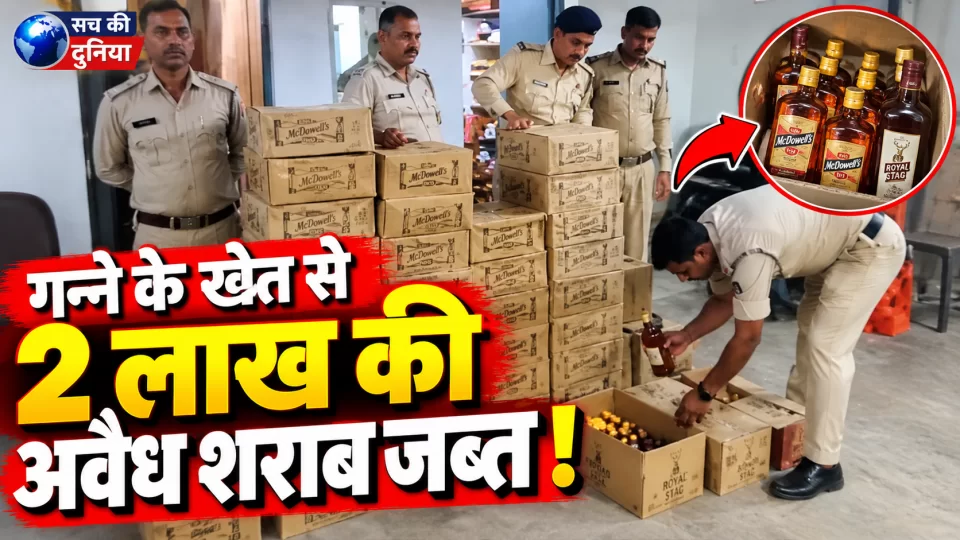 जबलपुर में गन्ने के खेत में छिपा रखी थी ₹2 लाख की अवैध शराब, क्राइम ब्रांच और केंट पुलिस का छापा; 1948 पाव जब्त, रोहित पासी उर्फ मटका गिरफ्तार