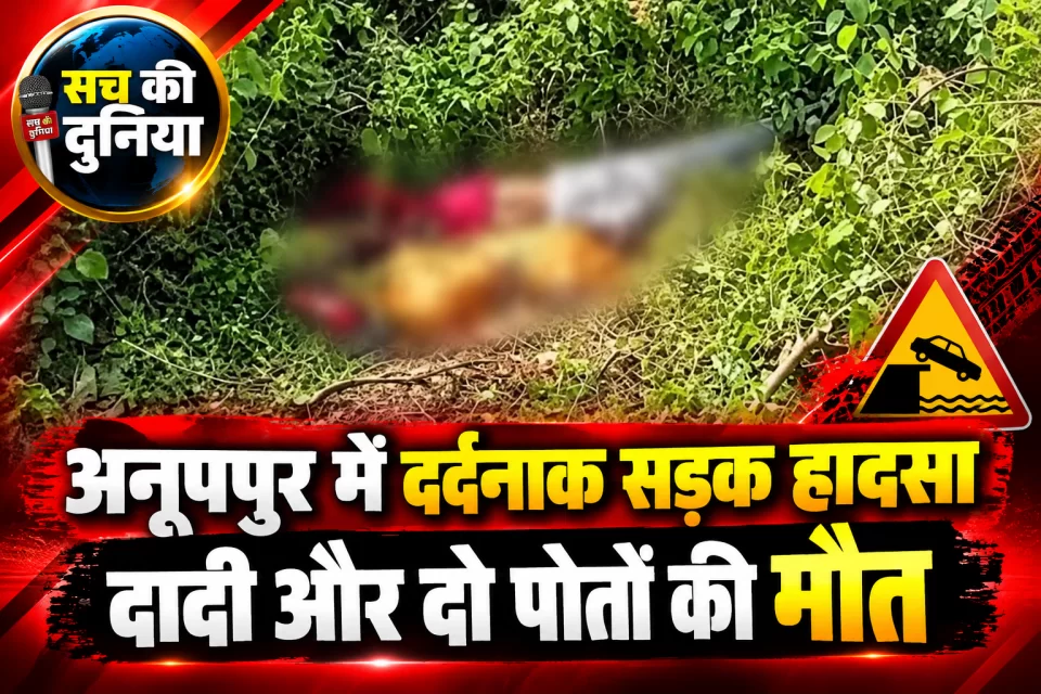 अनूपपुर में दर्दनाक सड़क हादसा: पुल से 15 फीट नीचे गिरी बाइक, दादी और दो पोतों की मौत, एक ही परिवार में मातम