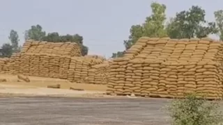43.03 करोड़ की कथित गड़बड़ी पर हाईकोर्ट में सुनवाई, सरकार को 6 सप्ताह में देनी होगी प्रदेशभर की जांच रिपोर्ट
