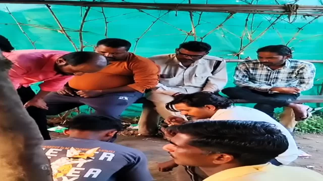सिवनी मालवा में जुए के फड़ों का जाल? कई मोहल्लों में संचालन के आरोप, पुलिस की कार्रवाई और कथित संरक्षण पर उठे सवाल